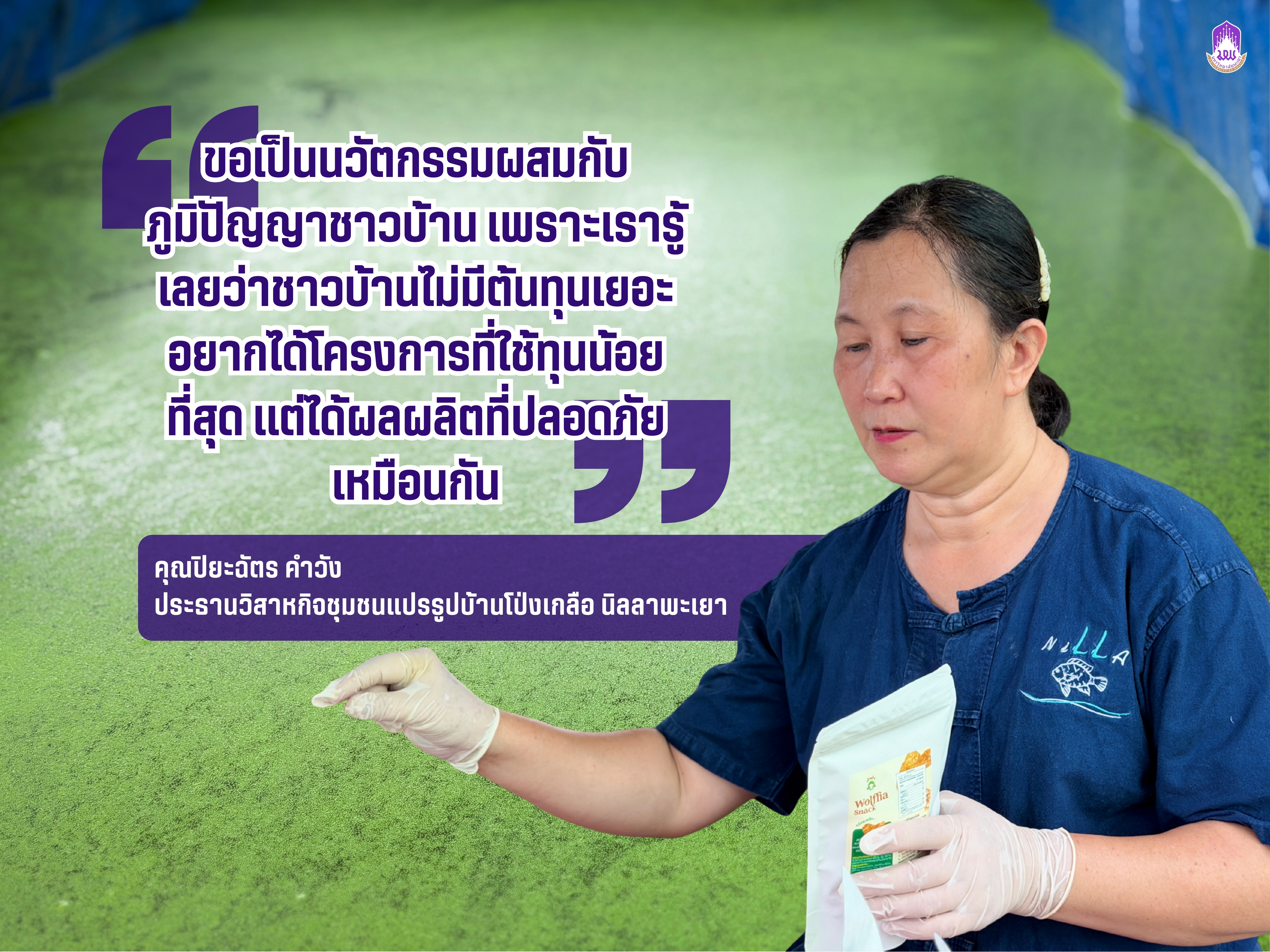 ภาพประกอบการเพาะเลี้ยงผำ