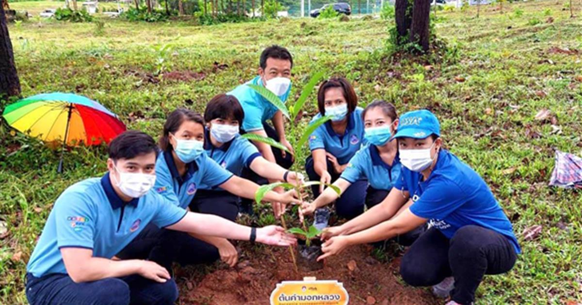 คณะเภสัชศาสตร์ โครงการนิสิตจิตอาสา ปลูกต้นไม้เฉลิมพระเกียรติ สมเด็จพระนางเจ้าสิริกิติ์ พระบรมราชินีนาถ พระบรมราชชนนีพันปีหลวง