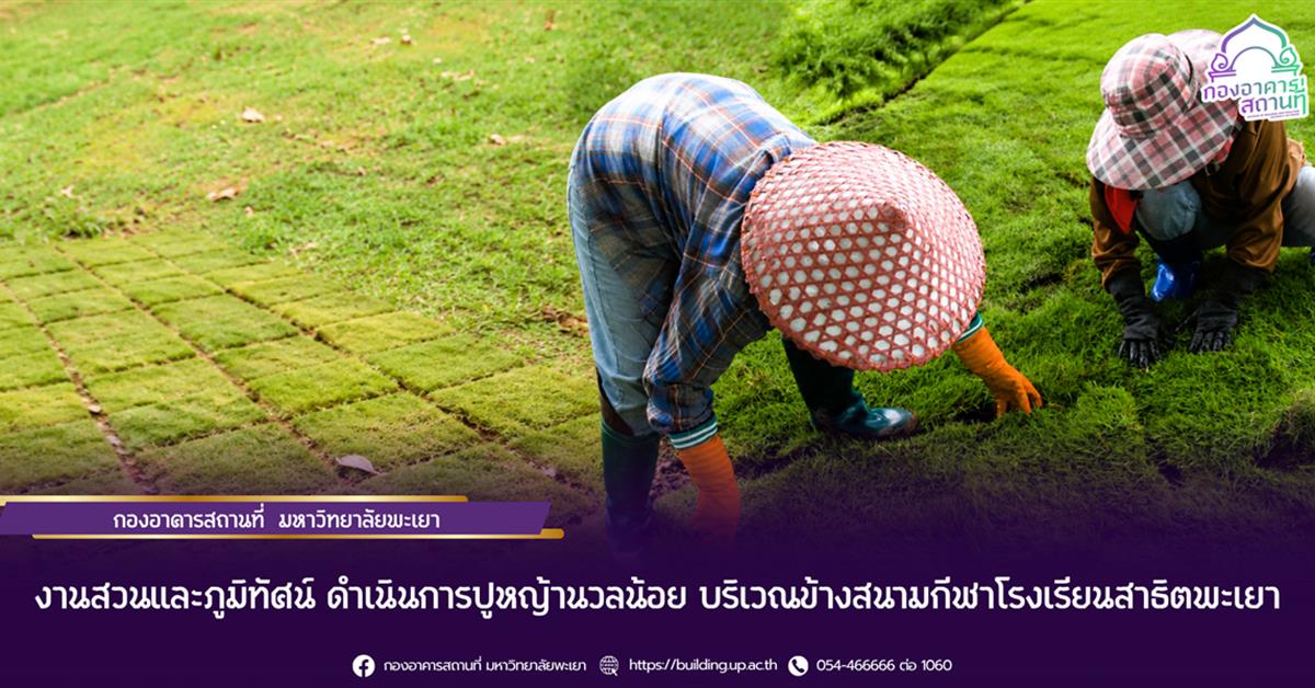 กองอาคารสถานที่ งานสวนและภูมิทัศน์ มหาวิทยาลัยพะเยา ดำเนินการปูหญ้านวลน้อย บริเวณข้างสนามกีฬาโรงเรียนสาธิตพะเยา