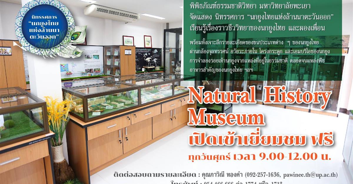 ชมฟรี มหาวิทยาลัยพะเยา เปิดพิพิธภัณฑ์ธรรมชาติวิทยา (Natural History Museum) เน้นส่งเสริมเยาวชนเรียนรู้นกยูงไทยแห่งล้านนาตะวันออก