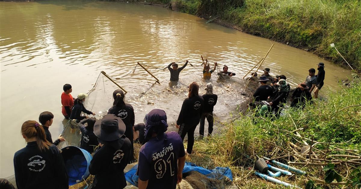 นิสิตการประมง คณะเกษตรศาสตร์ฯ ดำเนินกิจกรรมขนย้ายปลาบึก (Mekong Giant Catfish) และปลาเทพา (Chao Phraya Giant Catfish)