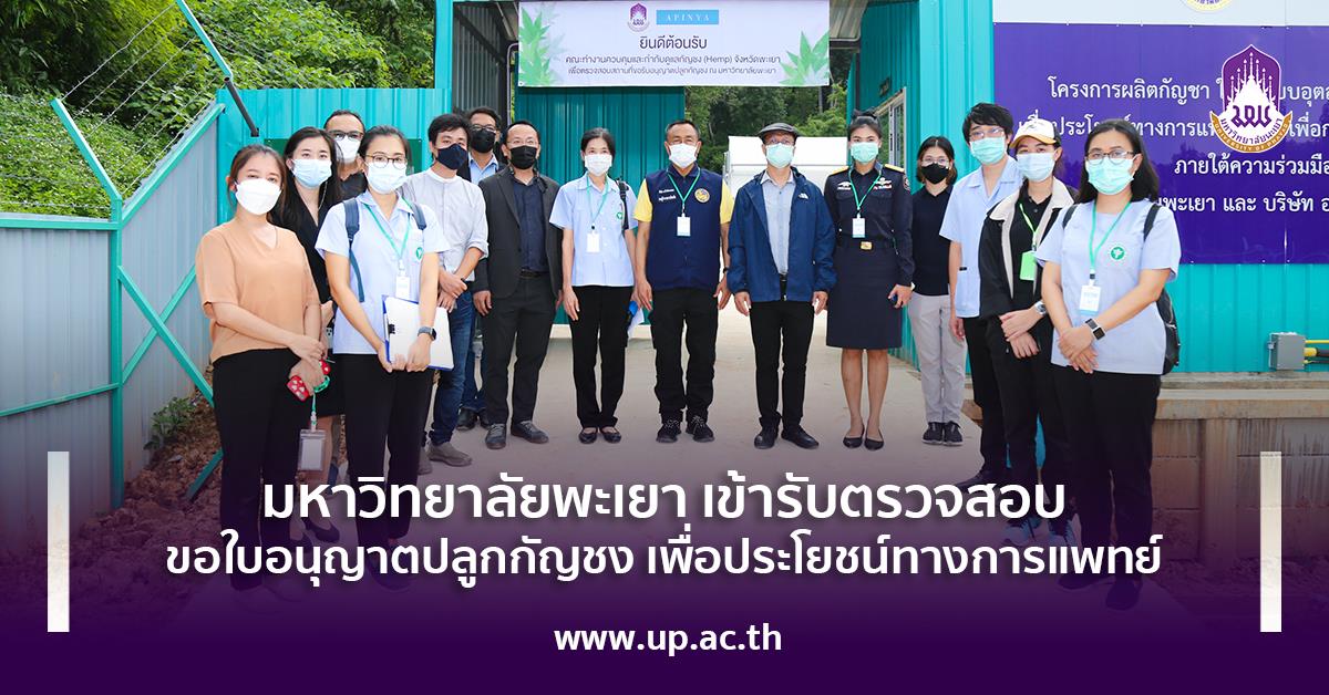 มหาวิทยาลัยพะเยา เข้ารับตรวจสอบขอใบอนุญาตปลูกกัญชงเพื่อประโยชน์ทางการแพทย์