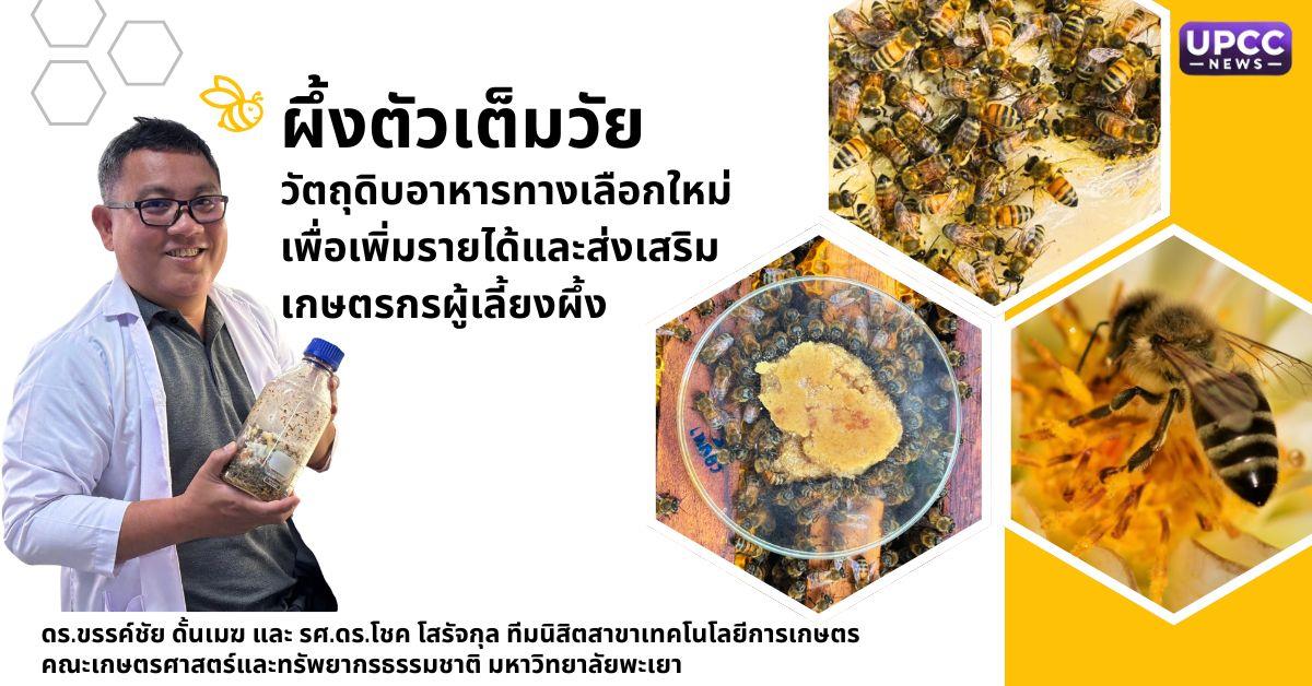 ผึ้งตัวเต็มวัย : วัตถุดิบอาหารทางเลือกใหม่เพื่อเพิ่มรายได้และส่งเสริมเกษตรกรผู้เลี้ยงผึ้ง