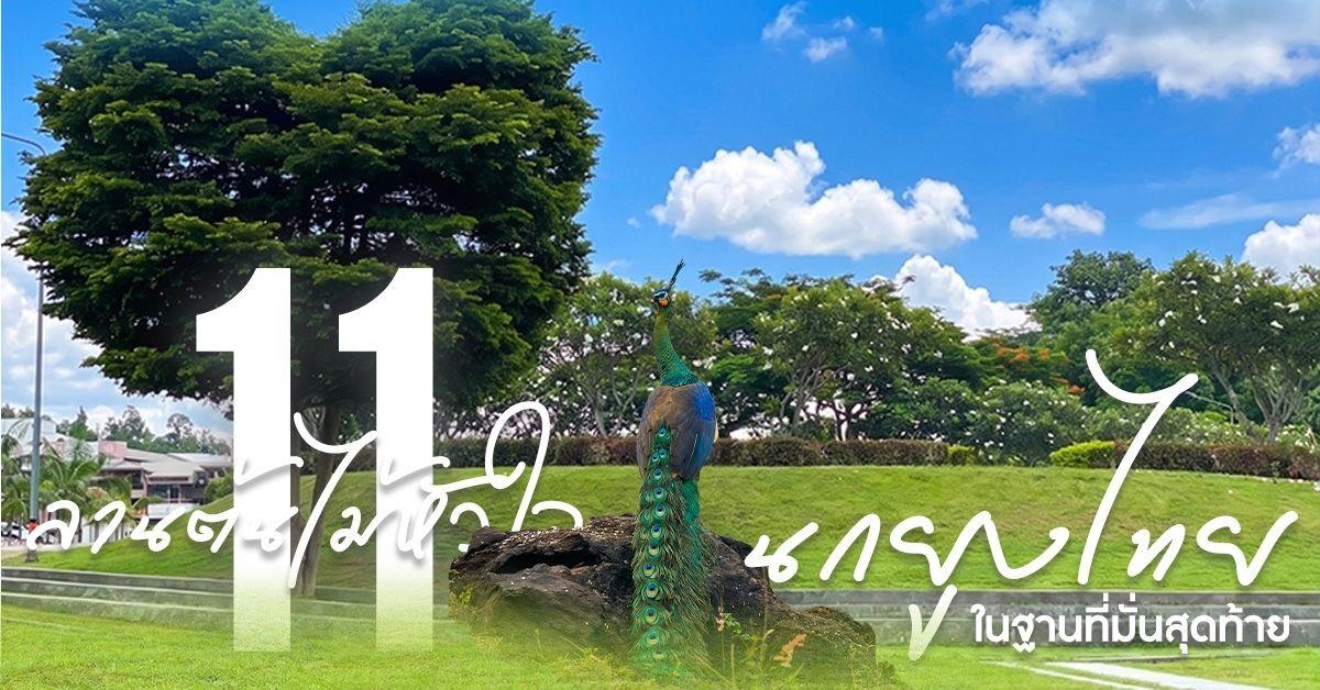 คณะบริหารธุรกิจและนิเทศศาสตร์ ร่วมจัดนิทรรศการเฉลิมฉลอง 16 ปี มหาวิทยาลัยพะเยา กับนิทรรศการ "Check in ที่ 11 : นกยูงไทยในฐานที่มั่นสุดท้าย" ณ ลานต้นไม้หัวใจ มหาวิทยาลัยพะเยา