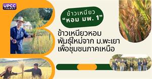 ข้าวเหนียวหอมพันธุ์ใหม่จาก ม.พะเยา เพื่อชุมชนภาคเหนือ > </a><div style=