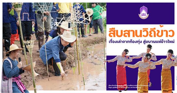 สืบสานวิถีข้าว เรื่องเล่าจากท้องทุ่ง สู่ขบวนแห่ข้าวใหม่