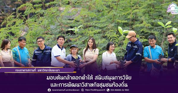 กองอาคารสถานที่ ม.พะเยา มอบต้นกล้าดอกคำใต้ สนับสนุนการวิจัยและการพัฒนาวิสาหกิจชุมชนท้องถิ่น