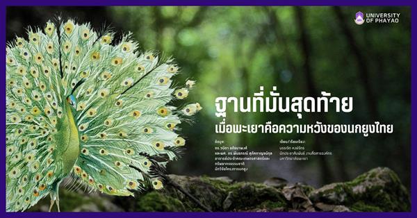 "ฐานที่มั่นสุดท้าย" เมื่อพะเยาคือความหวังของนกยูงไทย