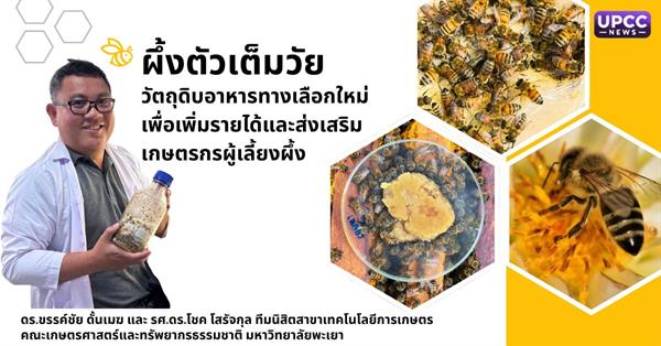 ผึ้งตัวเต็มวัย : วัตถุดิบอาหารทางเลือกใหม่เพื่อเพิ่มรายได้และส่งเสริมเกษตรกรผู้เลี้ยงผึ้ง